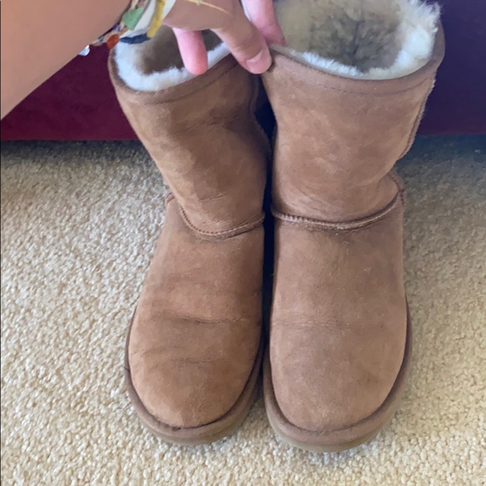 Chestnut uggs